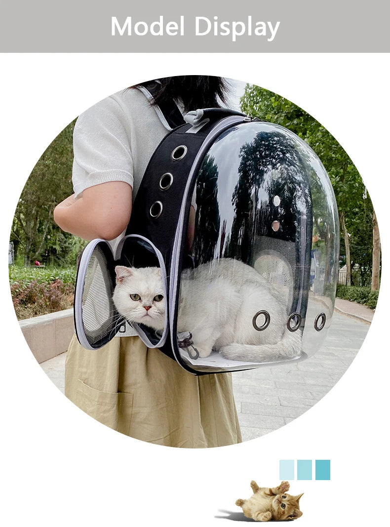 Adventure Capsule for Pets